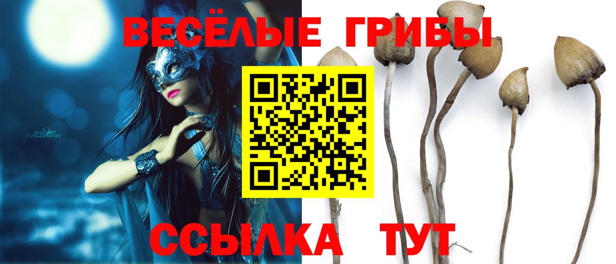 сколько стоит  Галлюциногенные грибы Magic Shrooms  Вход с VPN  Брянск 