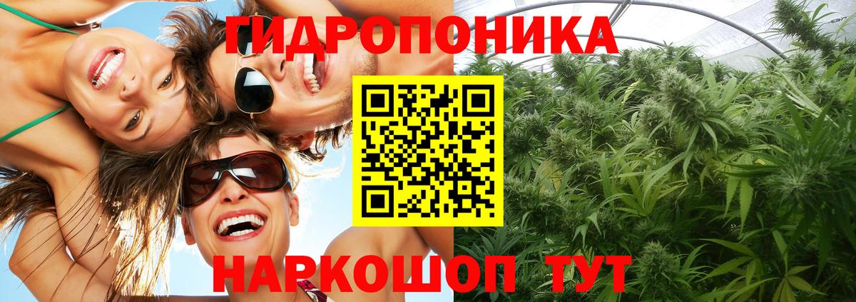Брянск  Марихуана планчик  Вход с VPN  Марихуана Bruce Banner  Марихуана Bruce Banner 